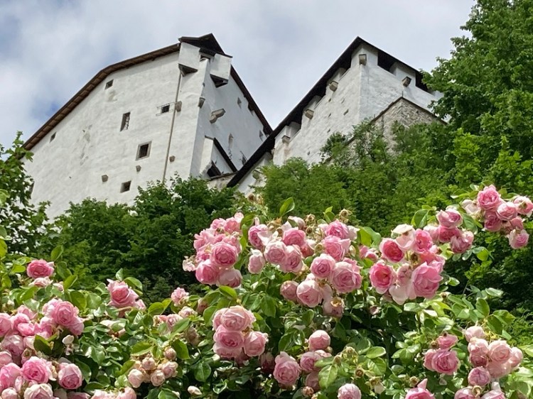 The Fortress of Salzburg ©Neumaier/MOZART GUIDE 