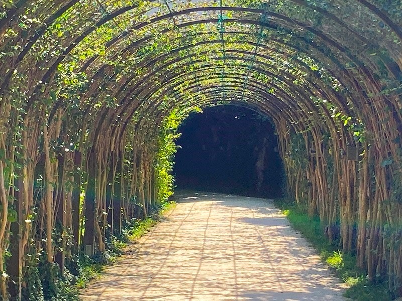 The arches / The Sound of Music